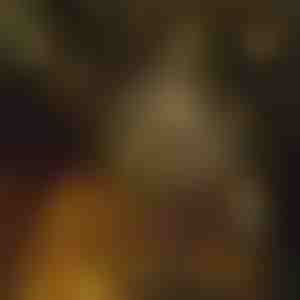 Stervormige Fairy String Lights (6 m) | STARYGLOW