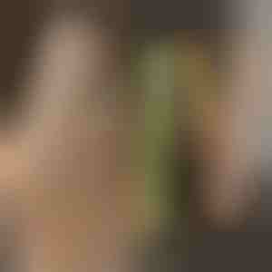 TWISTLINE stijltang en krultang