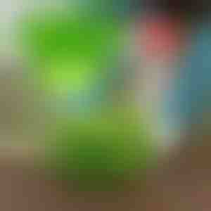 Houd ongedierte weg met VEGISHIELD (10 stuks)