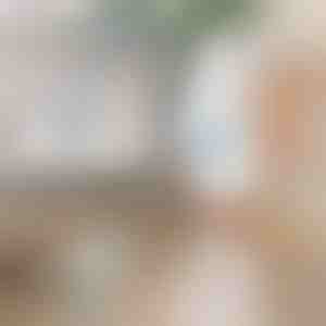 Elektrische roterende borstel | ROTOBRUSH