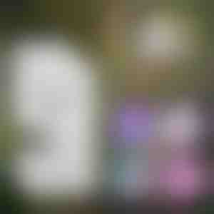 Draagbare kindermicroscoop | MINISCOPE