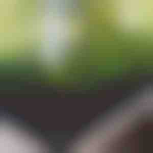 Stoffen verhoogd tuinbed | FLORAISE