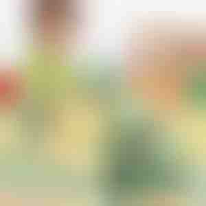 Dinosaurus trapklimmer | DINOCLIMBER