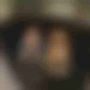 Waterdichte hondenhoes voor de achterbank van de auto | CARIPET