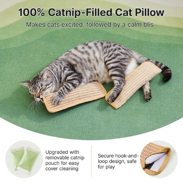CATCHEW-3831127629256-EN-3__221225